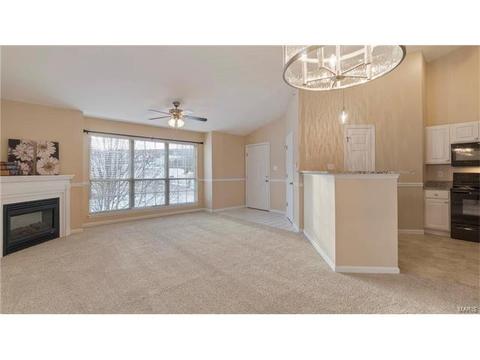 1609 Forest Springs Ln #D, Ballwin, MO 63021 photo 5