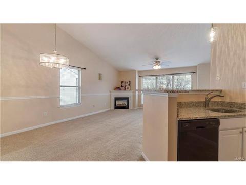 1609 Forest Springs Ln #D, Ballwin, MO 63021 photo 6