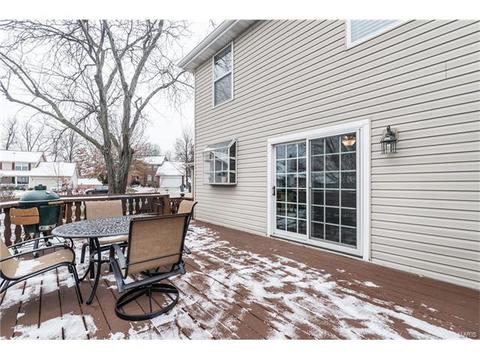 2 Winegarden Ct, O'fallon, MO 63368 photo 30