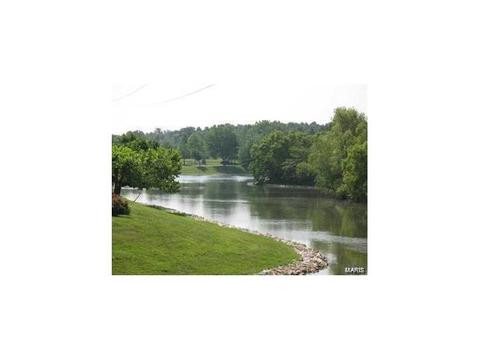 2 Winegarden Ct, O'fallon, MO 63368 photo 38
