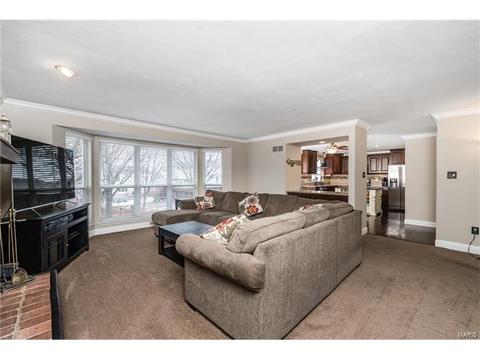 2 Winegarden Ct, O'fallon, MO 63368 photo 8