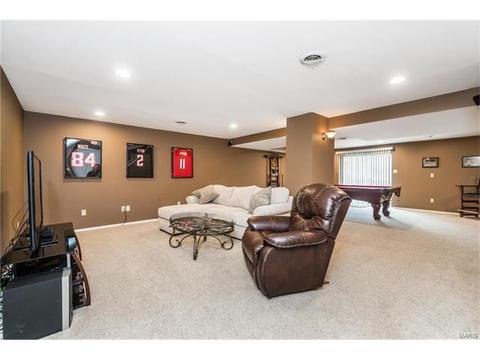2 Winegarden Ct, O'fallon, MO 63368 photo 20