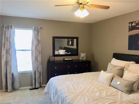 424 Tumulty Dr, Ballwin, MO 63021 photo 14