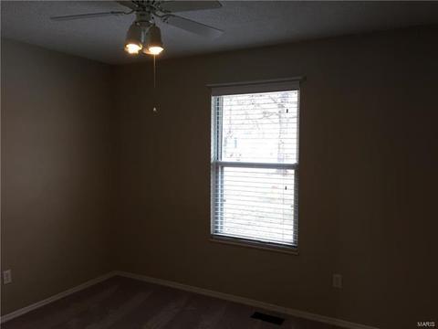 424 Tumulty Dr, Ballwin, MO 63021 photo 19