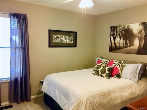 424 Tumulty Dr, Ballwin, MO 63021 photo 20