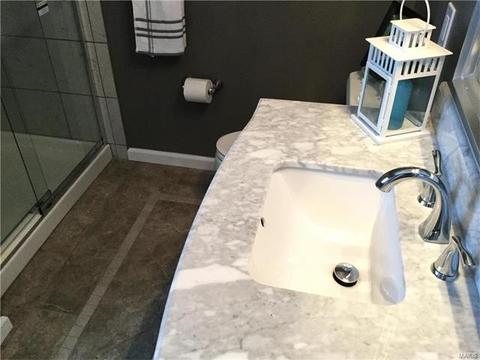 10 Mcgwire Ct, O'fallon, MO 63368 photo 24