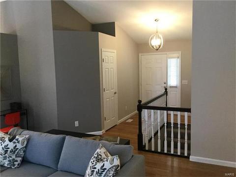 10 Mcgwire Ct, O'fallon, MO 63368 photo 3
