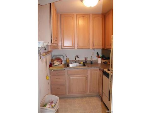 805 Nancy Ln, Weldon Spring, MO 63304 photo 42