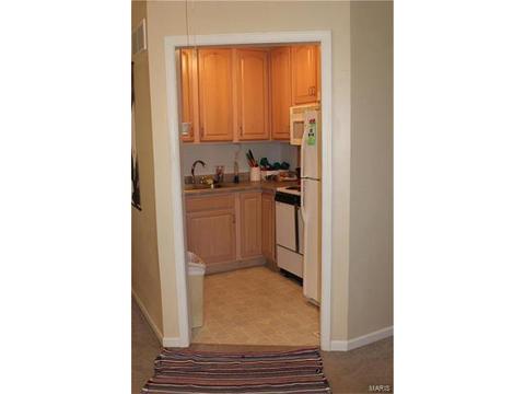 805 Nancy Ln, Weldon Spring, MO 63304 photo 41