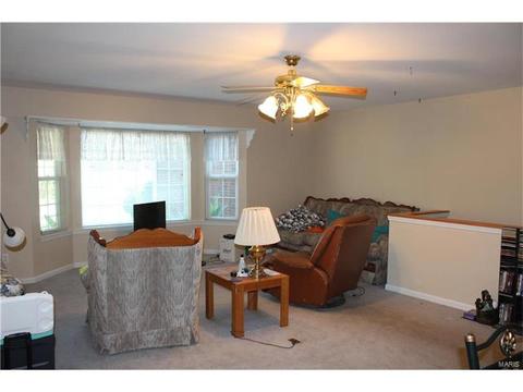805 Nancy Ln, Weldon Spring, MO 63304 photo 39