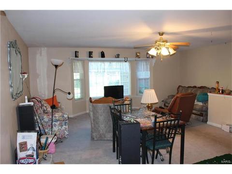 805 Nancy Ln, Weldon Spring, MO 63304 photo 45