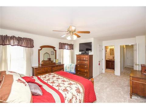 202 Westridge Parc, Ellisville, MO 63021 photo 23