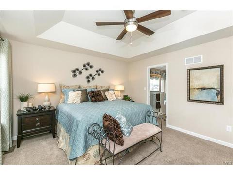 201 E Cannon Spur Ct, O'fallon, MO 63366 photo 5