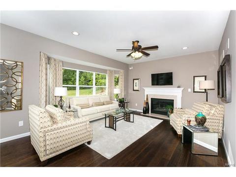 201 E Cannon Spur Ct, O'fallon, MO 63366 photo 3