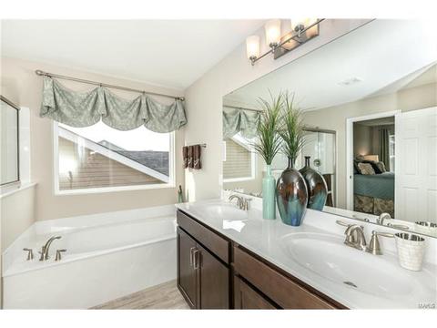 201 E Cannon Spur Ct, O'fallon, MO 63366 photo 7