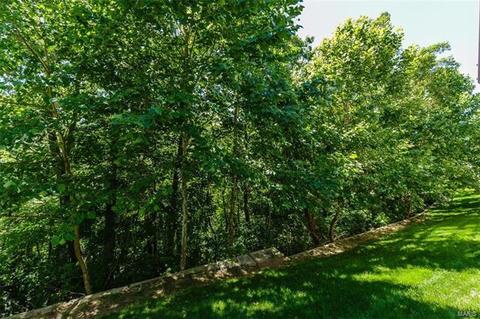 1022 Kiefer Ridge Dr, Ballwin, MO 63021 photo 64