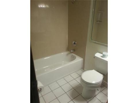 518 Spring Meadows Dr, Manchester, MO 63011 photo 11