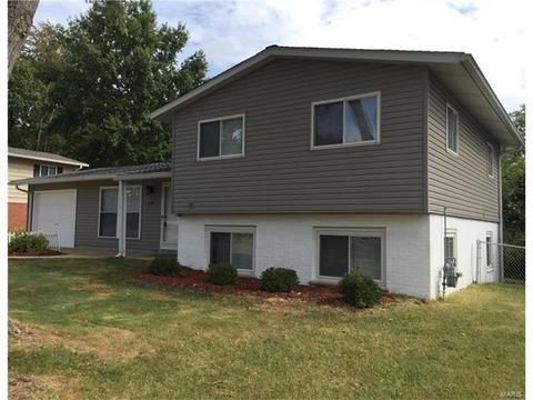 518 Spring Meadows Dr, Manchester, MO 63011 photo 2