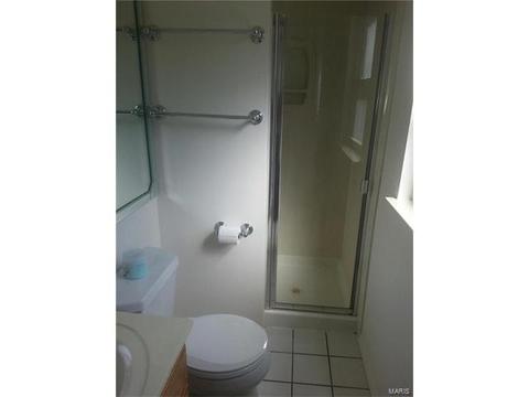 518 Spring Meadows Dr, Manchester, MO 63011 photo 13
