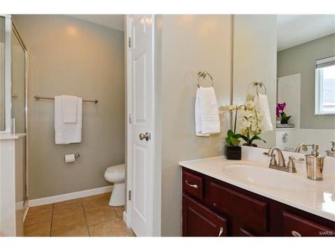 1409 Snowbird Ln, O'fallon, MO 63366 photo 15