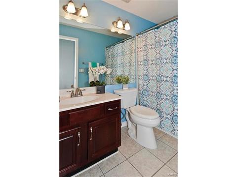 1409 Snowbird Ln, O'fallon, MO 63366 photo 21