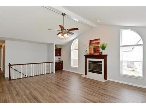 1409 Snowbird Ln, O'fallon, MO 63366 photo 3