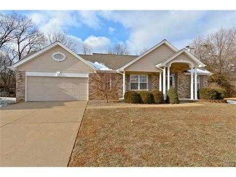 1409 Snowbird Ln, O'fallon, MO 63366 photo 29