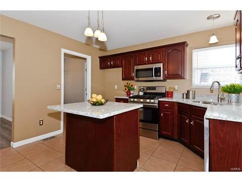 1409 Snowbird Ln, O'fallon, MO 63366 photo 10