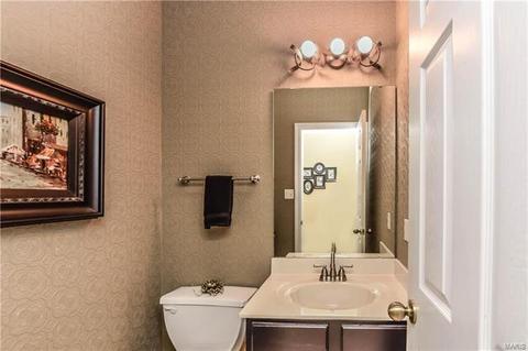 17537 Radcliffe Place Dr, Wildwood, MO 63025 photo 16