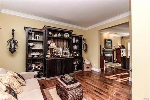 17537 Radcliffe Place Dr, Wildwood, MO 63025 photo 3