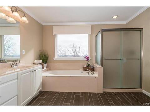 836 Legends View Dr, Eureka, MO 63025 photo 28
