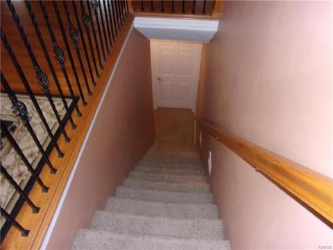 115 Lock Dr, Ballwin, MO 63011 photo 17