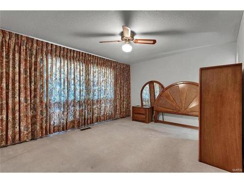 509 Lalor Dr, Ballwin, MO 63011 photo 19