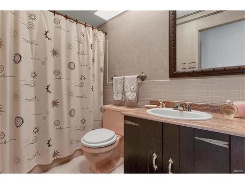 509 Lalor Dr, Ballwin, MO 63011 photo 24