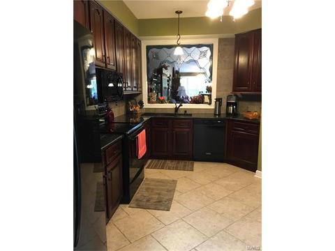 133 Shaelah Ct, Weldon Spring, MO 63304 photo 4