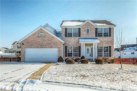 4 Fair Count Ct, O'fallon, MO 63368 photo 1