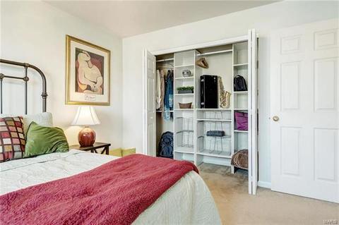 4 Fair Count Ct, O'fallon, MO 63368 photo 27