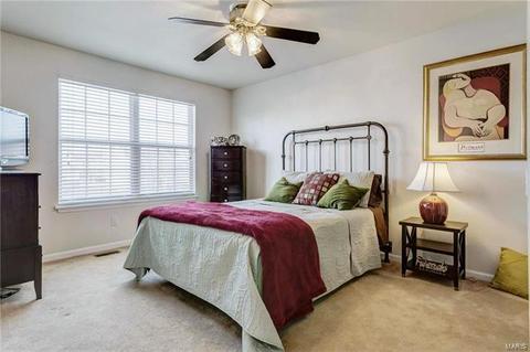 4 Fair Count Ct, O'fallon, MO 63368 photo 26