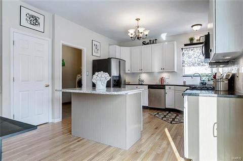 4 Fair Count Ct, O'fallon, MO 63368 photo 14