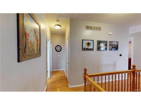 101 Hawks Haven Dr, O'fallon, MO 63368 photo 32