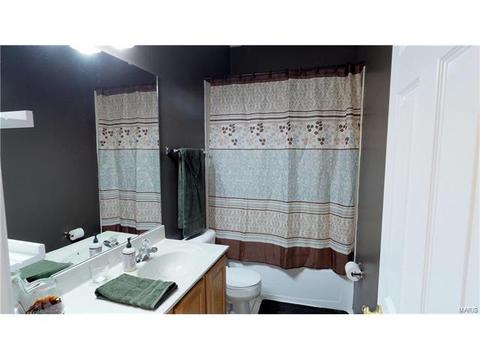 101 Hawks Haven Dr, O'fallon, MO 63368 photo 33