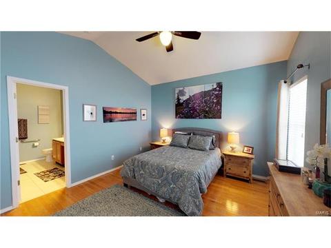 101 Hawks Haven Dr, O'fallon, MO 63368 photo 26