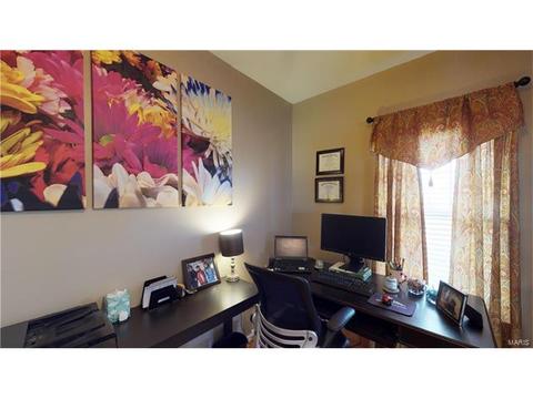 101 Hawks Haven Dr, O'fallon, MO 63368 photo 9