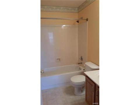 1485 Chambers Dr, O'fallon, MO 63366 photo 12