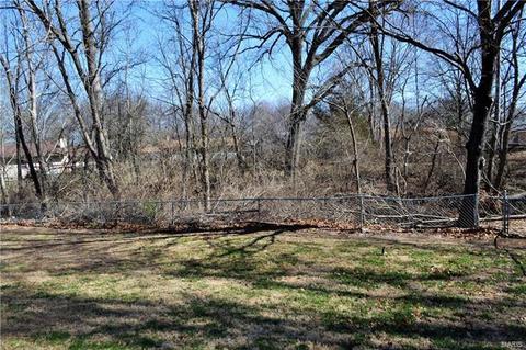 10 Fawn Meadows Dr, Eureka, MO 63025 photo 21