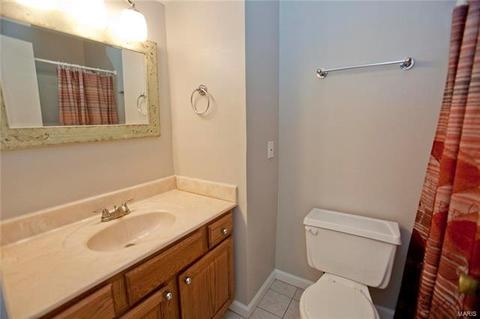 357 Fox Village Ct, Ballwin, MO 63021 photo 22