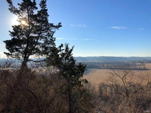 564 Bluffs Vw, Eureka, MO 63025 photo 43