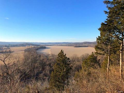 564 Bluffs Vw, Eureka, MO 63025 photo 42