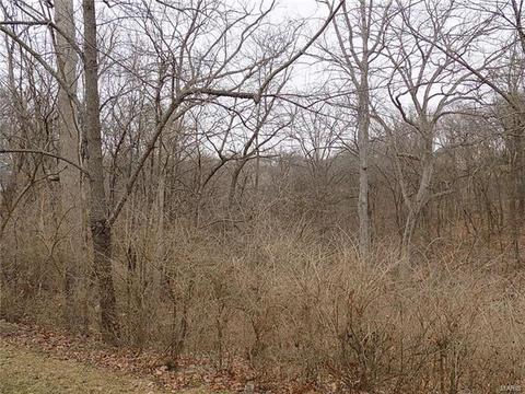 16017 Forest Vly, Ballwin, MO 63021 photo 3