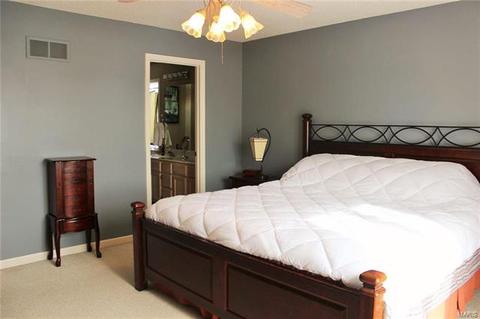 2 Cog Mill Ct, O'fallon, MO 63368 photo 21